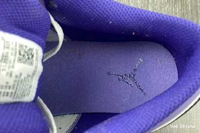 Jordan 553558-515 133 Trendsetting Low 1 1115